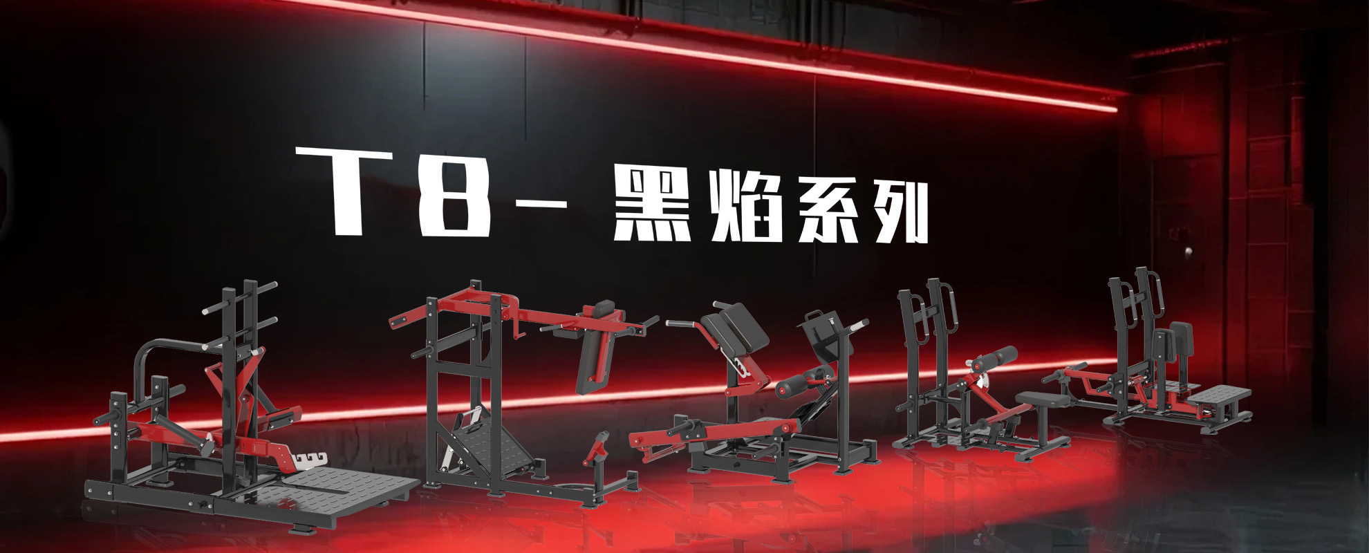 T8系列